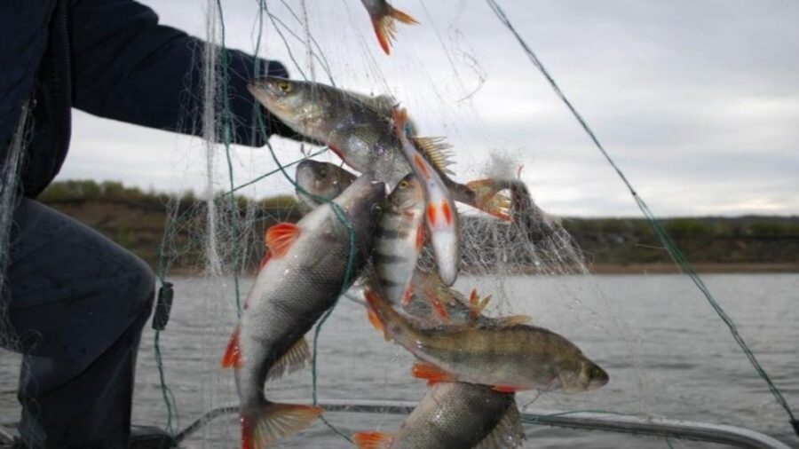 ловим рыбу на Волге. Казань